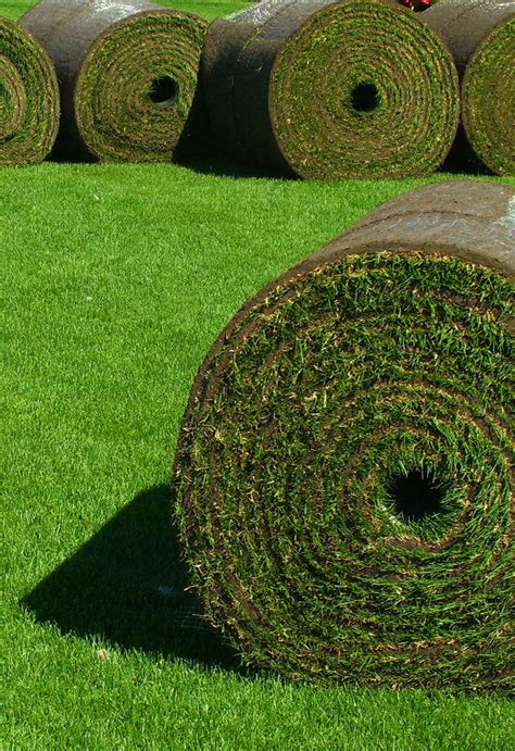 Greenscape Contractors Sod Farms Lawn Care