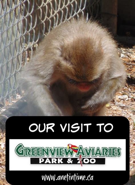 Greenview Aviaries Park and Zoo - A Net in Time