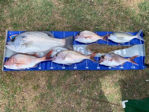 Greenwell Point - Fishing Reports - DECKEE Community