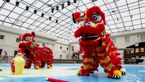 Greenwich HIgh School Celebrates Chinese New Year