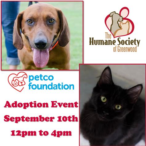 Greenwood humane society. Bring your pet to the HSOG Spay/Neuter Clinic at 2820 Airport Rd. Greenwood SC 29649 the morning of your transport appointment. Locked parking lot will open at 6:15 a.m. the morning of transports, check in will begin at 6:30 a.m. Cats are to be in secure hard plastic carriers and dogs on leashes. Your payment is due in full the morning of surgery. 