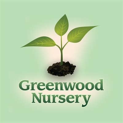 Greenwood nursery. Things To Know About Greenwood nursery. 