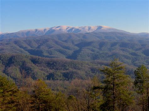 Gregory Bald Mountain Photos - mountain-forecast.com