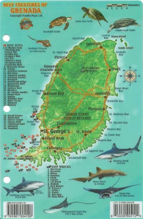 Download Grenada Dive Map  Reef Creatures Guide Franko Maps Laminated Fish Card By Not A Book