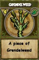 Grendelweed wizard101. Transmute Grendelweed: 400 Gold Transmute Frost Flower: 300 Gold Hints, Guides and Discussions should be placed in the Discussion tab. Categories Categories: NPC; Vendor; Grizzleheim Crafting Vendor; Crafting Vendor; Northguard NPC; Grizzleheim NPC; Community content is available under CC-BY-SA unless otherwise noted. More Fandoms 