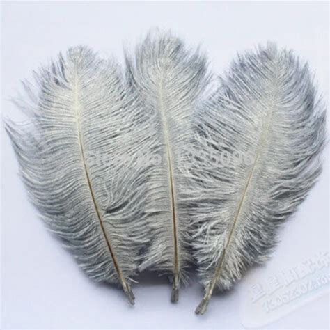 Grey Ostrich Feathers - Feathers - AliExpress