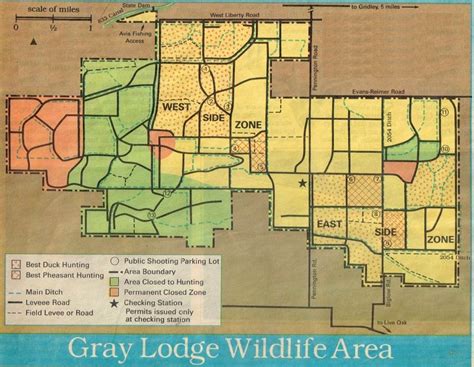 Grey lodge hunt map. Things To Know About Grey lodge hunt map. 