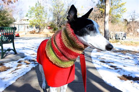 Greyhound Cowl Knitting Pattern — BromeLeighad