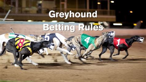 Greyhound Racing Betting Explained - Betfair