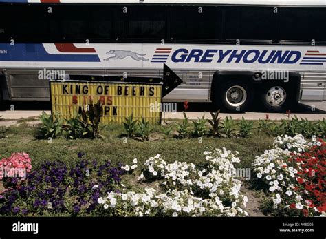 Book your next Greyhound bus from Iowa City, IA to Belle Glade,