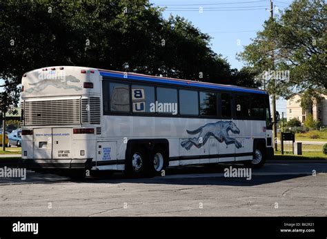 Discover more popular bus connections. Dayton, OH. Savannah, GA. Book your next Greyhound bus from Dayton, OH to Savannah, GA. Get free Wi-Fi & plug outlets on board, extra legroom and 2 pieces of free luggage.