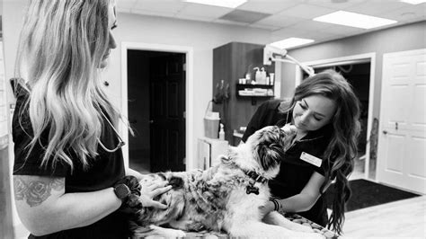 Greystone vet. Greystone Veterinary Hospital + Urgent Care - Veterinary Clinic in Seven Hills, OH . CALL US TODAY! 216-525-1077. Home New Patient Center Online Forms What to Expect Dr. Kostals ... Greystone Veterinary Hospital + Urgent Care offers our patient form(s) ... 