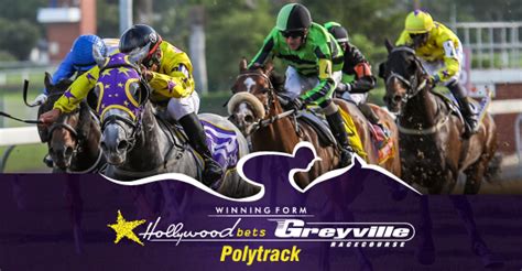 Greyville horse racing odds