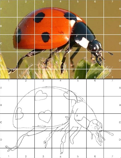 Grid drawing tool online.  You can see the effect immediately in the pre...