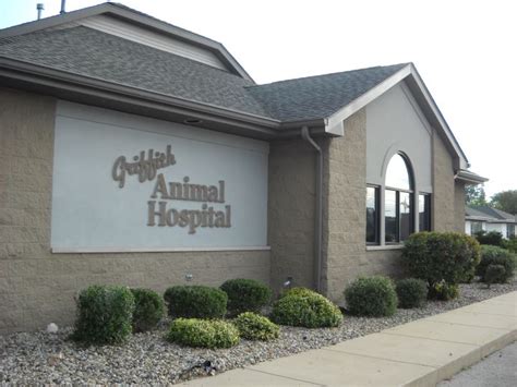 Griffin animal hospital. Things To Know About Griffin animal hospital. 