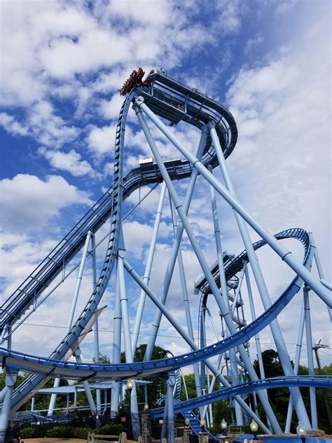 steel dive roller coaster at Busch Gardens Williamsbur