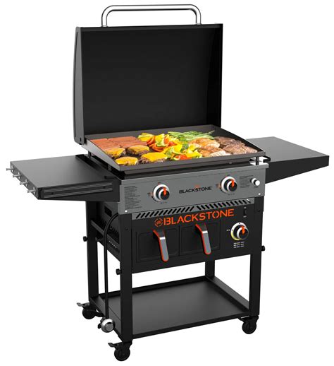 Grill 2. The Spirit E-210 has a closed cabinet design, has 2 folding tables, 4 casters, and is a bit bigger in dimensions. The Spirit II E-210 has an open cart design, has 1 folding table, 2 wheels, and is equipped with the powerful GS4 grilling system. Thanks! 