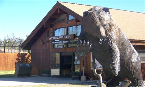 Grizzly and wolf discovery center west yellowstone montana. Grizzly & Wolf Discovery Center is located in the heart of West Yellowstone, just a few hundred yards outside the West Entrance to Yellowstone National Park.... 