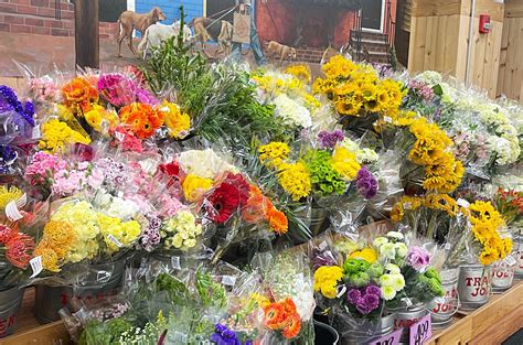 Grocery store flowers. 1. Kroger. 3.0 (135 reviews) Grocery. $$ “Downvotes; It's HUGE!!! Way too little organic produce for a grocery store it's size; limited...” more. Delivery. 2. Grant Park Market. 3.8 … 