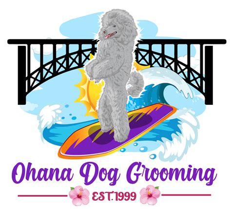 Groomer in Twin Falls, Idaho, United States of America In Store …