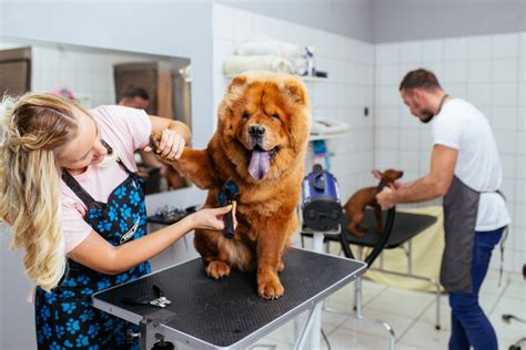 Grooming services, pet and animal specialties – Missouri Business ...