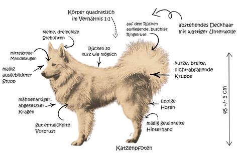 Gross spitz.  With proper What Spitz-character is cannot be missed by ...
