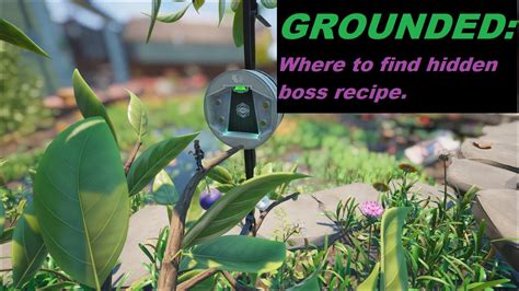 Grounded broodmother blt location. How To Unlock & Build The Oven. In order to access the recipe to build the Oven, players will first need to gain access to BURG.L. This robotic NPC can be found in the specialized lab located ... 