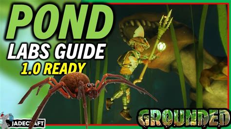 Grounded second pond chip. The Pond Lab Grounded. How to do The Pond Lab Grounded quest. You can complete Grounded The Pond Lab mission following this video guide. 00:00 1. Find the Po... 