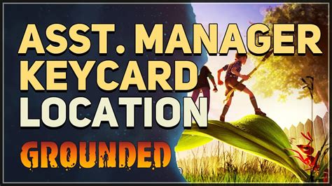 If you play the survival game Grounded, you have to face the Assistant Manager sooner or later, to get his key card. In our guide, we will guide you step by step to the location where the Assistant Manager is, so you can defeat him for the key card.. Grounded where to get assistant manager keycard