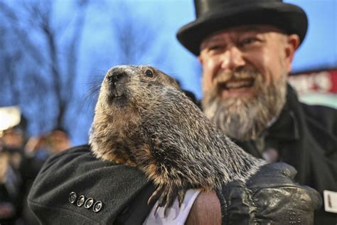 Groundhog Day 2024: Accuweather Releases Spring Preview Before Phil …