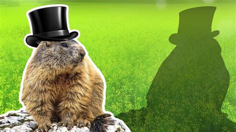 Groundhogs for Kids Groundhog Day Wild Animals