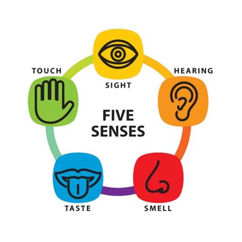 Grounding Techniques with Five Senses – Moving on …