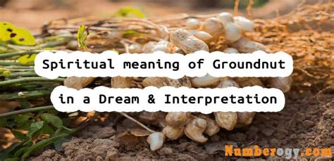 Groundnut dream meaning in islam.  True interpretation is not fortune-te...