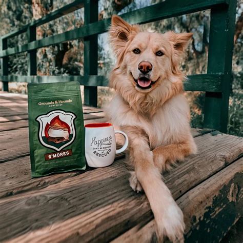 Grounds and hounds. Grounds & Hounds Coffee Co. offers a wide range of quality coffee blends including light roast, dark roast, decaf blends and more. Shop Now! 