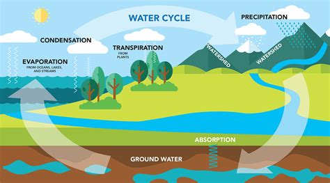 Water moves across the surface through snowmelt, runoff, and streamflow. Water moves into the ground through infiltration and groundwater recharge. Underground, groundwater flows within aquifers. Groundwater can return to the surface through natural discharge into rivers, the ocean, and from springs .. 