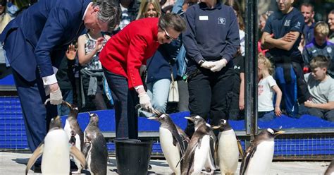 Group Visits Edinburgh Zoo