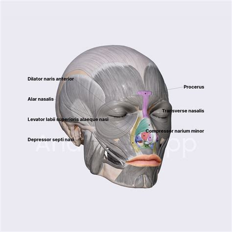 Group facial compilation. .  <a href=http://utp174.ru/gvmwsm4/grupos-d...