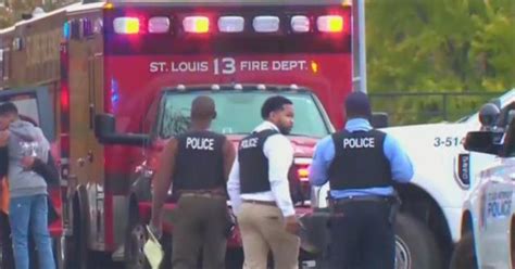 Group takes off with gun, puppy and more in St. Louis armed robbery