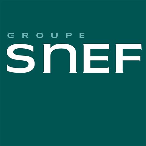 Groupe SNEF - Overview, News & Competitors ZoomInfo.com