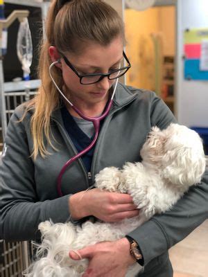 The company offers veterinary care, hospital care, animal care and recovery through which they serve their clients. ... 2423 Grove Way; Castro Valley, CA 94546 ...