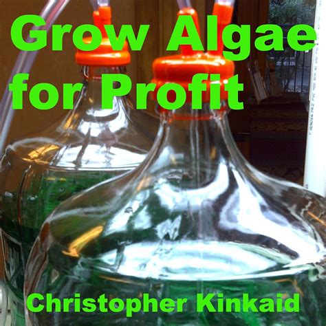 Grow Algae for Profit: How to Build a Photobioreactor for Growing …