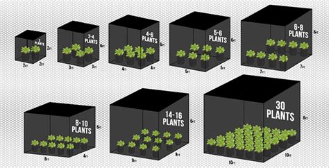 Grow Tent Dimensions: How to Choose the Right Size for Your Space