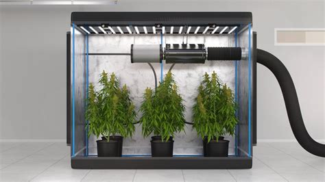 Grow Your Plants to Their Full Potential with a Vent System for Your Grow Tent