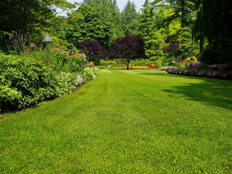 Grow grass. Grass Growing Guide & FAQs. Everything about grass… everything. Taking care of a lawn requires more effort than heading out with the mower every 7-10 days. If you want to have a nice lawn then you should be setting up a watering regimen that is sufficient for your climate and regular. You should be mowing your grass at intervals that are ... 