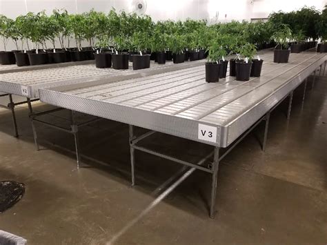 Grow tables 4x8.  With its deep drainage points and extra-thick plastic, it...