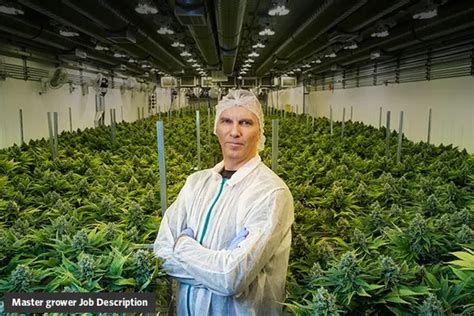 Grower jobs near me. Things To Know About Grower jobs near me. 