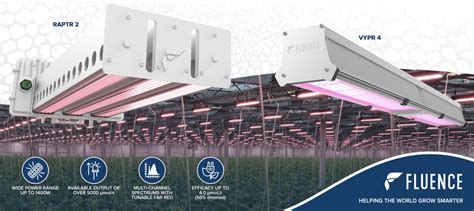 Growers choice vs fluence.  Platforms include top lights, intra-canopy lights, and even sub-can...