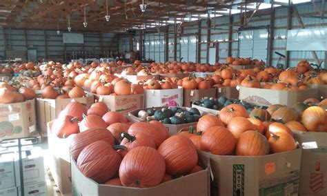 Growers produce auction cashton wi. Oct 28, 2023 ... She grew up on the Roesler farm near Coon Valley, WI with her sister, Pat and brother, Jim. ... Growers Produce Auction near Cashton ... Westby, WI ... 