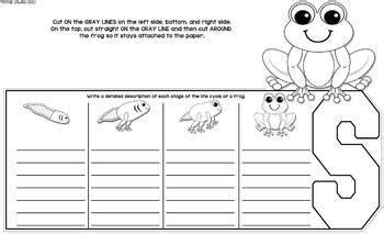 Growing Frogs Teaching Resources Teachers Pay Teachers