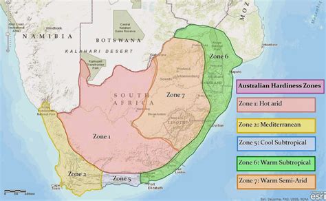 Growing Ginger in South Africa - Semi-arid climate